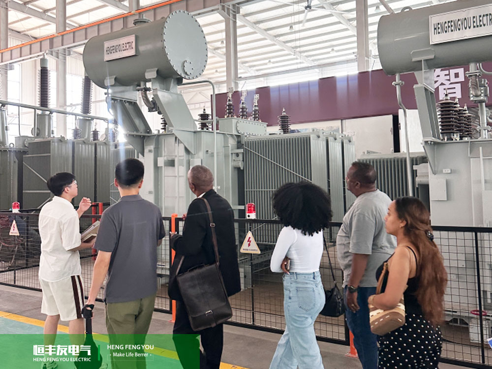 Soluciones de distribución de energía personalizadas para mataderos en Serbia