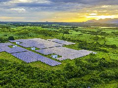 Desarrollo y perspectivas del sector energético mundial en 2021