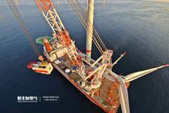 Emiratos Árabes Unidos ADNOC y ad Power licitan conjuntamente el proyecto del sistema de transmisión submarina